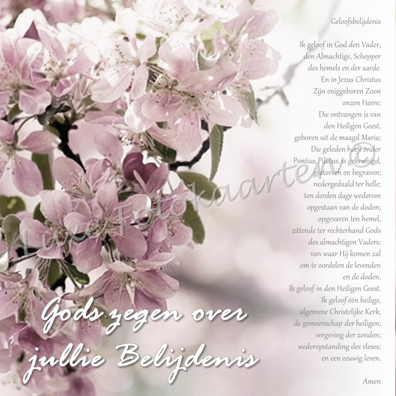 Belijdenis - bloesem jullie